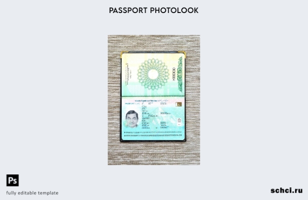 цифровая загрузка шаблона фотоизображения для паспорта Пакистана 1